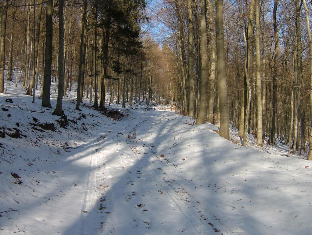 Fliederhof Ferienwohnungen Herresbach Quarto foto
