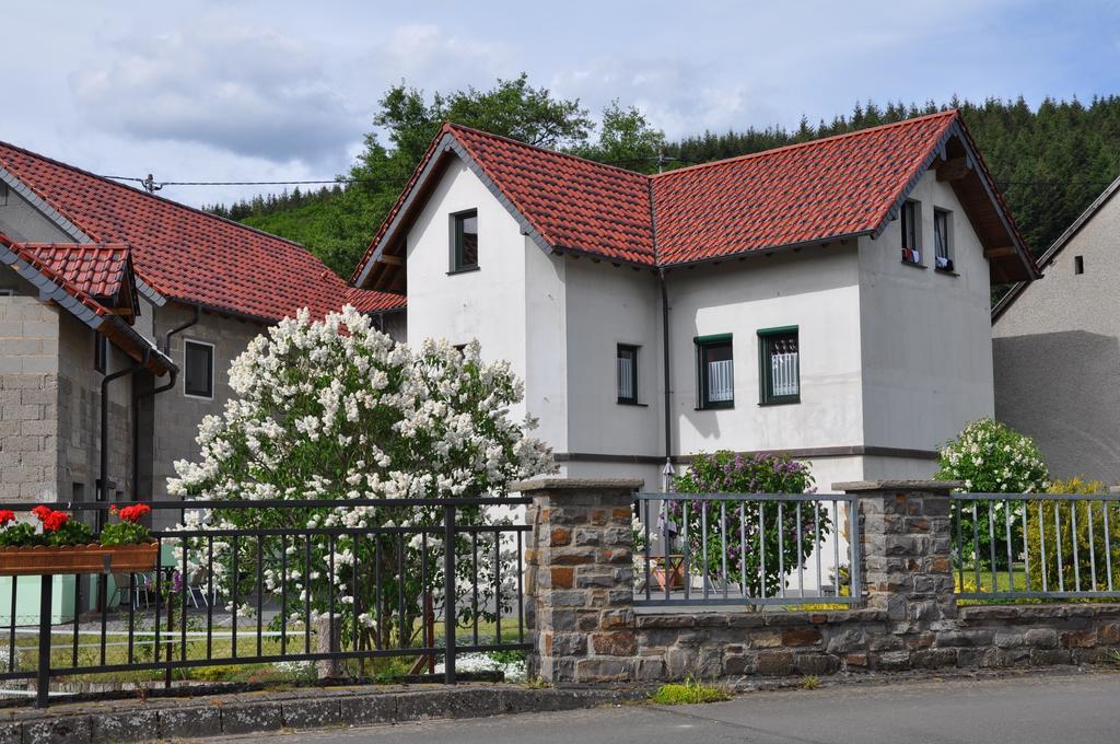 Fliederhof Ferienwohnungen Herresbach Quarto foto